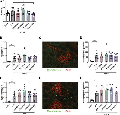 Glycosaminoglycans and fucoidan have a protective effect on experimental glomerulonephritis